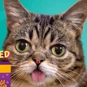 Meet your Posher, Shane